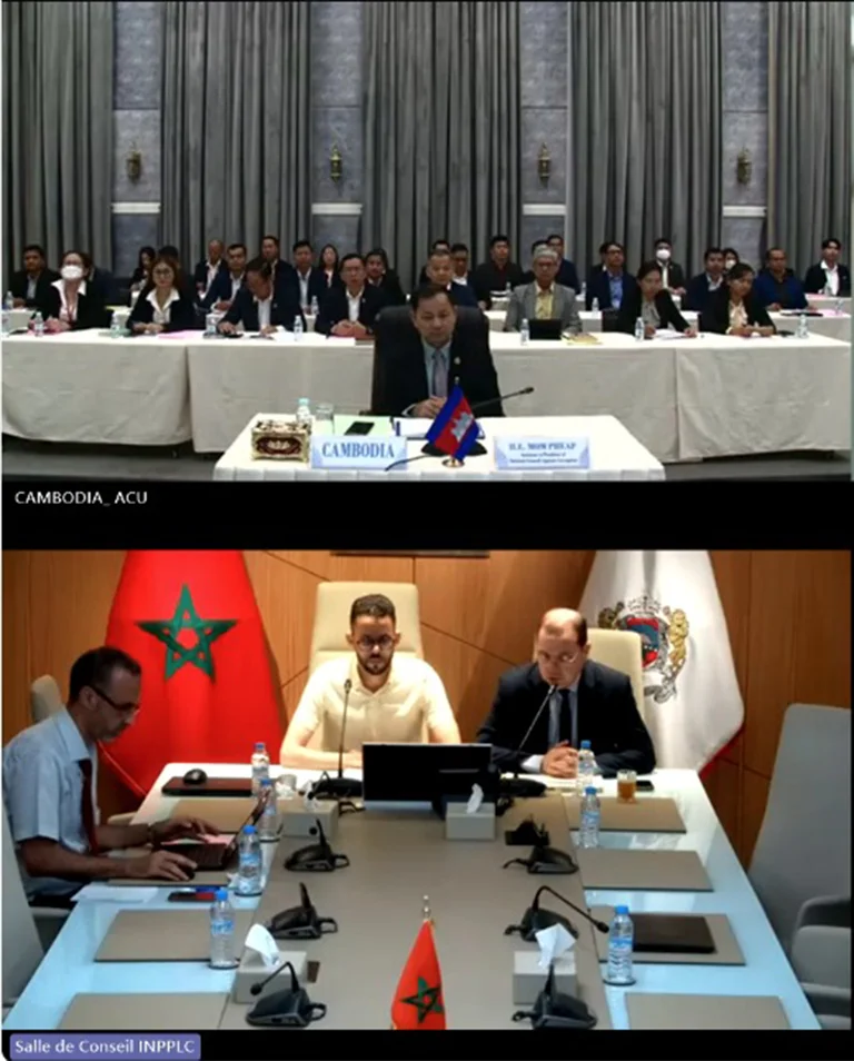 Online Workshops by INPPLC Morocco